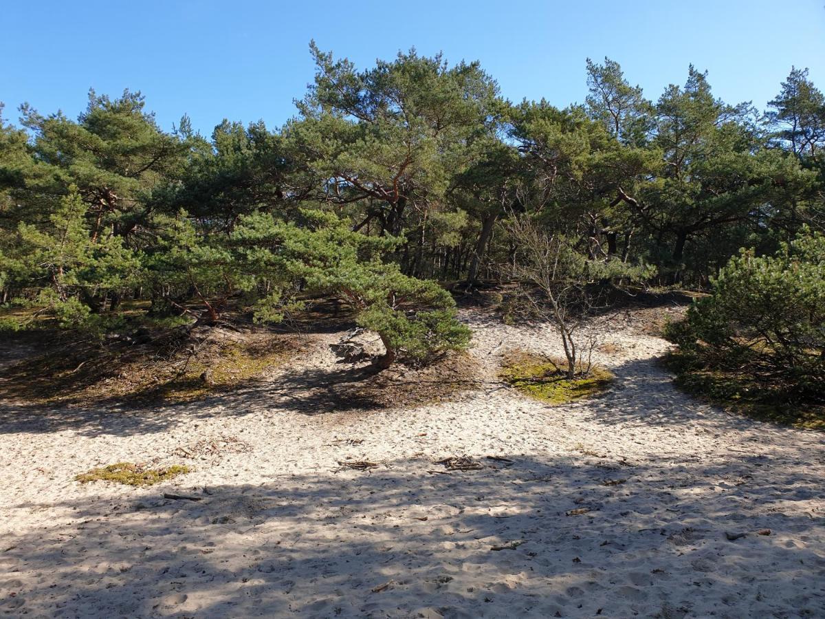 Wislany Przekop *